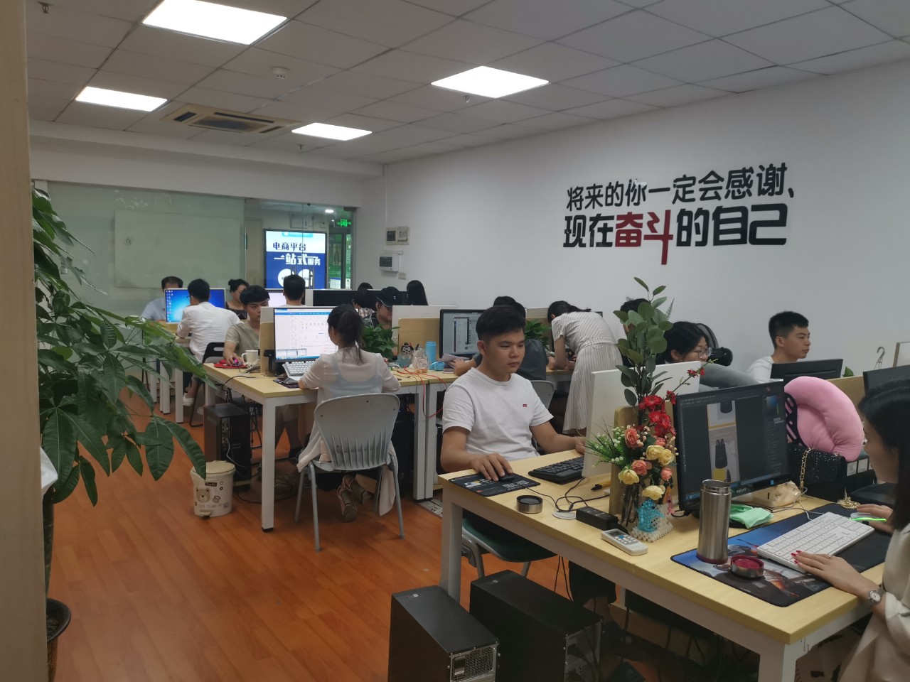 匯學教育成立扶搖電商運營孵化公司，助力電商行業新篇章